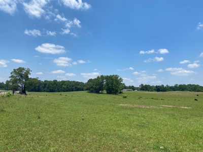 Cattle Farm For Sale In Tn, 55 Acres+/-, Fenced Pasture - image 9