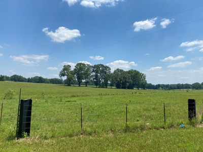 Cattle Farm For Sale In Tn, 55 Acres+/-, Fenced Pasture - image 12