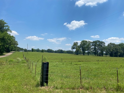 Cattle Farm For Sale In Tn, 55 Acres+/-, Fenced Pasture - image 11