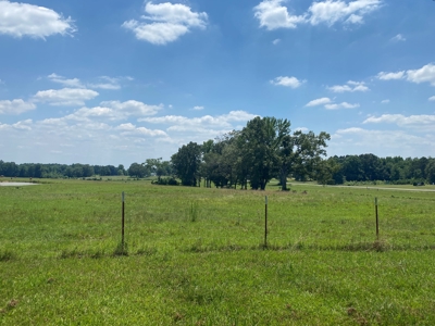 Cattle Farm For Sale In Tn, 55 Acres+/-, Fenced Pasture - image 15