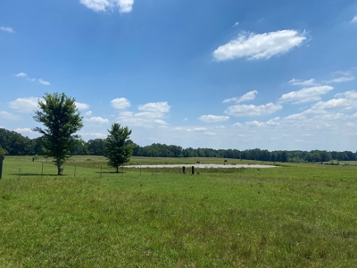 Cattle Farm For Sale In Tn, 55 Acres+/-, Fenced Pasture - image 16