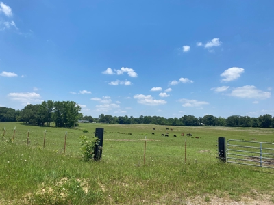 Cattle Farm For Sale In Tn, 55 Acres+/-, Fenced Pasture - image 5