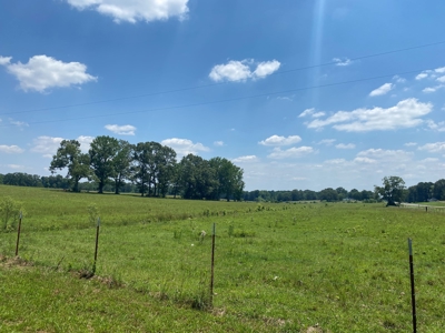 Cattle Farm For Sale In Tn, 55 Acres+/-, Fenced Pasture - image 10
