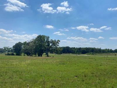 Cattle Farm For Sale In Tn, 55 Acres+/-, Fenced Pasture - image 18