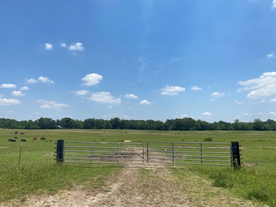 Cattle Farm For Sale In Tn, 55 Acres+/-, Fenced Pasture - image 4