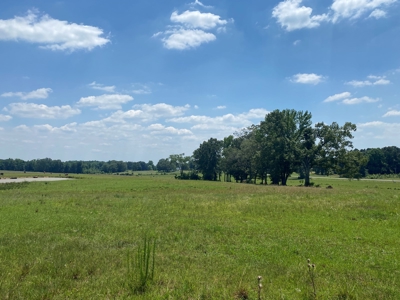 Cattle Farm For Sale In Tn, 55 Acres+/-, Fenced Pasture - image 17
