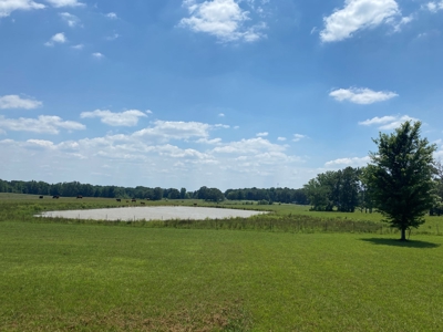 Cattle Farm For Sale In Tn, 55 Acres+/-, Fenced Pasture - image 20