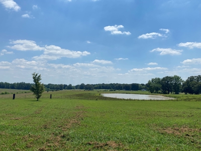 Cattle Farm For Sale In Tn, 55 Acres+/-, Fenced Pasture - image 22