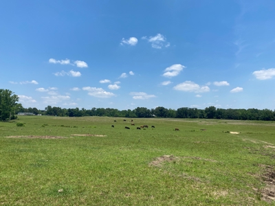 Cattle Farm For Sale In Tn, 55 Acres+/-, Fenced Pasture - image 8