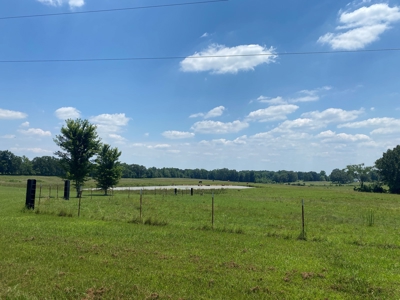 Cattle Farm For Sale In Tn, 55 Acres+/-, Fenced Pasture - image 1