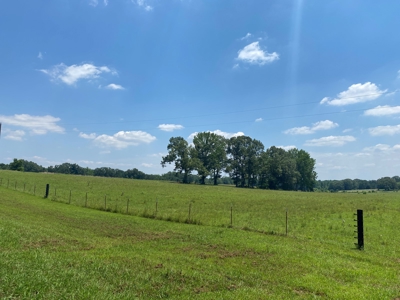 Cattle Farm For Sale In Tn, 55 Acres+/-, Fenced Pasture - image 14