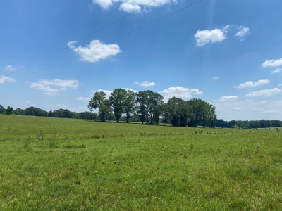 Cattle Farm For Sale In Tn, 55 Acres+/-, Fenced Pasture - image 13