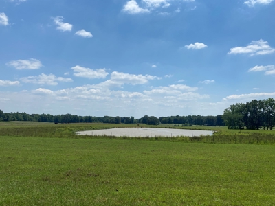 Cattle Farm For Sale In Tn, 55 Acres+/-, Fenced Pasture - image 21