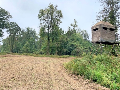 339 Acres Mississippi River Hunting Land for Sale SW MS - image 4