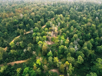 339 Acres Mississippi River Hunting Land for Sale SW MS - image 22