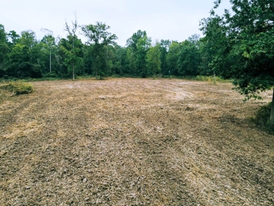 339 Acres Mississippi River Hunting Land for Sale SW MS - image 30