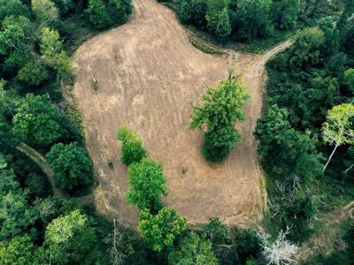 339 Acres Mississippi River Hunting Land for Sale SW MS - image 31