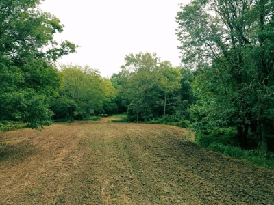 339 Acres Mississippi River Hunting Land for Sale SW MS - image 40