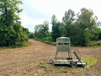 339 Acres Mississippi River Hunting Land for Sale SW MS - image 33