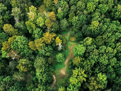 339 Acres Mississippi River Hunting Land for Sale SW MS - image 25