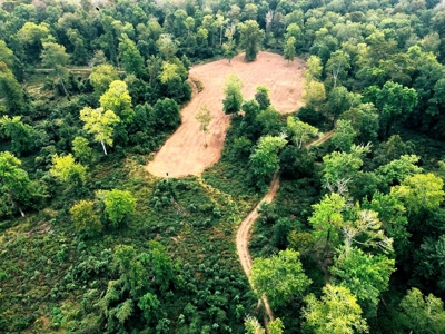 339 Acres Mississippi River Hunting Land for Sale SW MS - image 28