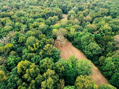 339 Acres Mississippi River Hunting Land for Sale SW MS - image 38