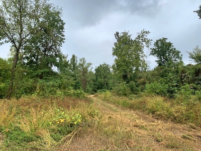 339 Acres Mississippi River Hunting Land for Sale SW MS - image 11