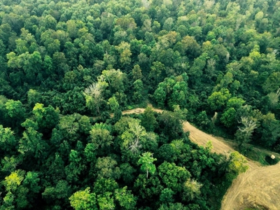 339 Acres Mississippi River Hunting Land for Sale SW MS - image 23