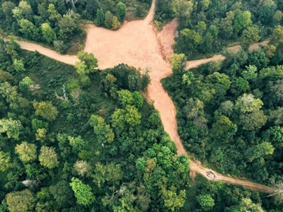 339 Acres Mississippi River Hunting Land for Sale SW MS - image 27