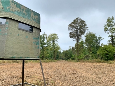 339 Acres Mississippi River Hunting Land for Sale SW MS - image 12