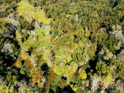 339 Acres Mississippi River Hunting Land for Sale SW MS - image 41