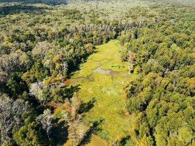 339 Acres Mississippi River Hunting Land for Sale SW MS - image 42