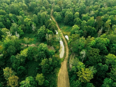 339 Acres Mississippi River Hunting Land for Sale SW MS - image 21