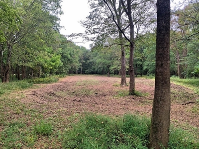 339 Acres Mississippi River Hunting Land for Sale SW MS - image 15