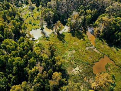 339 Acres Mississippi River Hunting Land for Sale SW MS - image 44