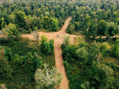 339 Acres Mississippi River Hunting Land for Sale SW MS - image 32