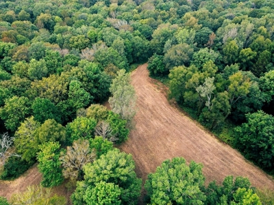 339 Acres Mississippi River Hunting Land for Sale SW MS - image 36