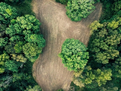 339 Acres Mississippi River Hunting Land for Sale SW MS - image 39