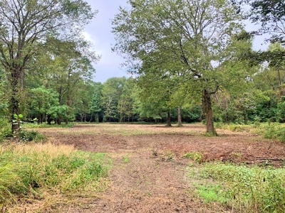 339 Acres Mississippi River Hunting Land for Sale SW MS - image 16