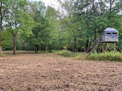 339 Acres Mississippi River Hunting Land for Sale SW MS - image 18