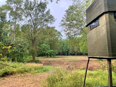 339 Acres Mississippi River Hunting Land for Sale SW MS - image 14