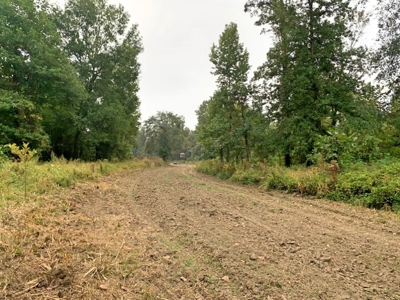 339 Acres Mississippi River Hunting Land for Sale SW MS - image 3