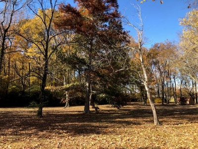 Brick Home on 4.81 Acres For Sale in Bald Knob, AR - image 13