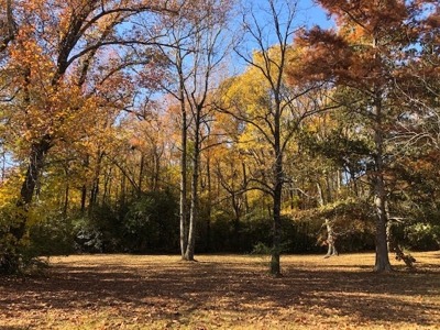 Brick Home on 4.81 Acres For Sale in Bald Knob, AR - image 12