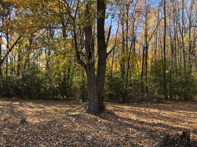 Brick Home on 4.81 Acres For Sale in Bald Knob, AR - image 10