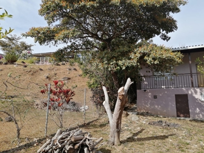 Country House In Laguna San Carlos Panama *Under Contract* - image 8