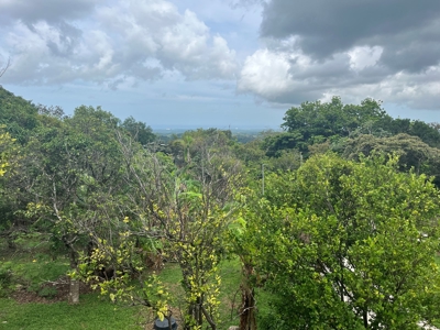 Country House In Laguna San Carlos Panama *Under Contract* - image 19
