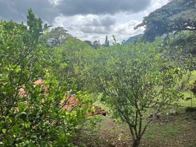 Country House In Laguna San Carlos Panama *Under Contract* - image 22