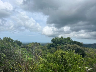 Country House In Laguna San Carlos Panama *Under Contract* - image 15