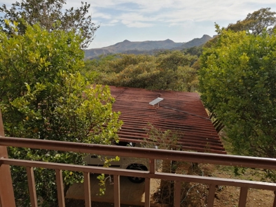 Country House In Laguna San Carlos Panama *Under Contract* - image 10
